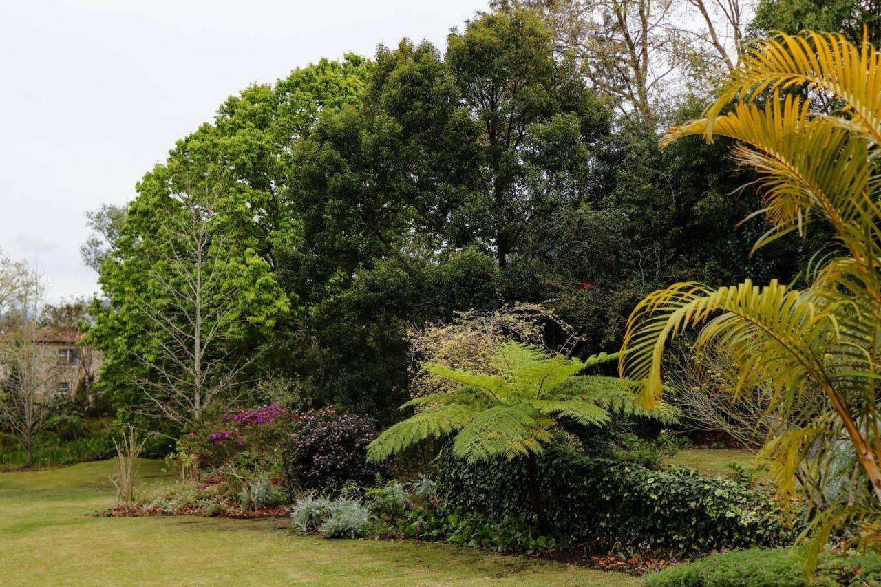 Arbour1 Guesthouse George Bagian luar foto